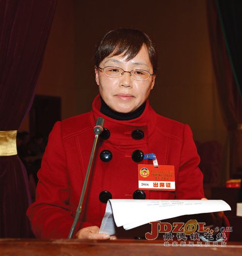 景市政协十二届六次会议委员大会发言摘要