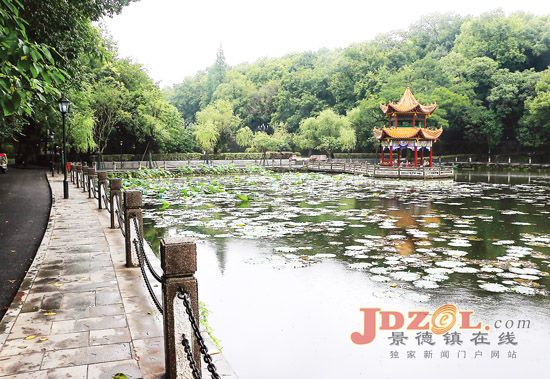 景德镇市:城市公园让百姓乐享绿色福利