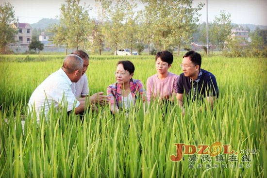 [迎党代会领导访谈]访市昌江区委书记罗璇