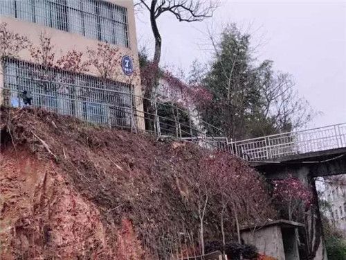 美化环境，我们在行动