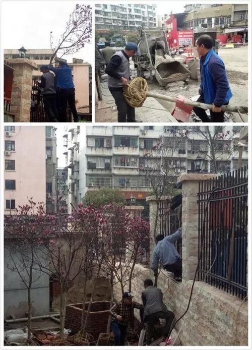 美化环境，我们在行动