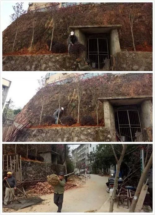 美化环境，我们在行动
