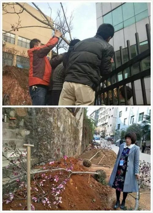 美化环境，我们在行动