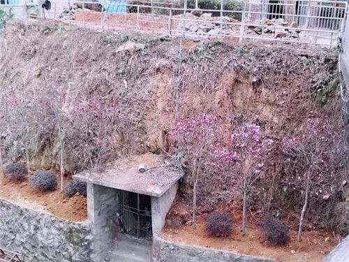 美化环境，我们在行动