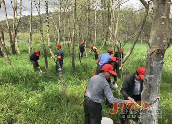 浮梁经公桥镇开展环境大整治主题党日活动