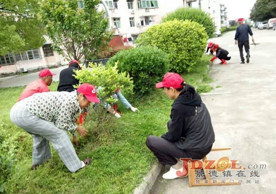 西郊街道景航社区党员志愿者拔草美化家园