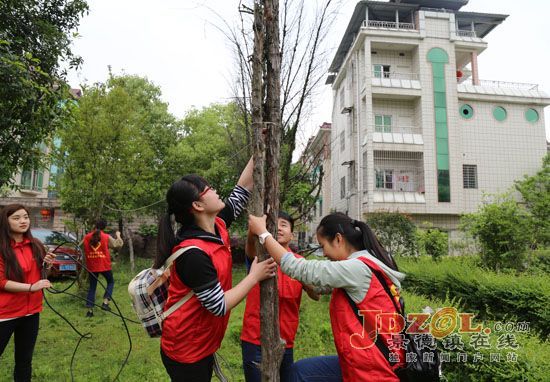 昌江区:拆除“两违”和环境大整治动真格