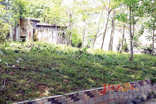 [黑榜回头看]景德镇：整治环境　美化家园