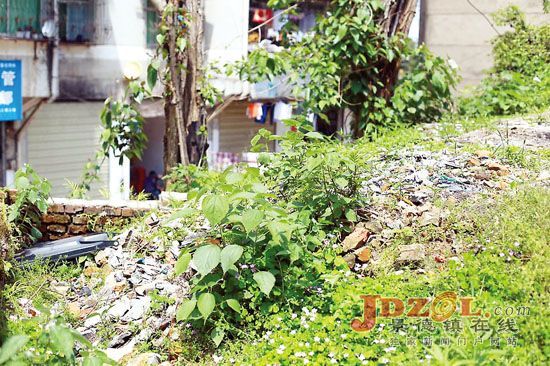 [黑榜回头看]景德镇：整治环境　美化家园