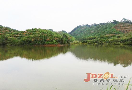景德镇市:加快推进水土保持生态建设步伐