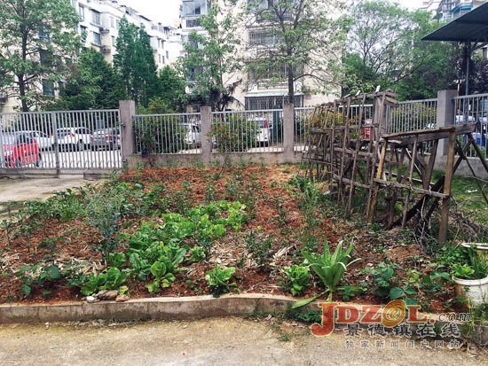 [黑榜]嘉华园小区环境脏乱差，居民有意见