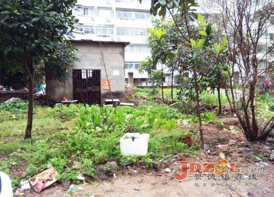 景德镇市昌江区西郊街道城乡环境整治见闻
