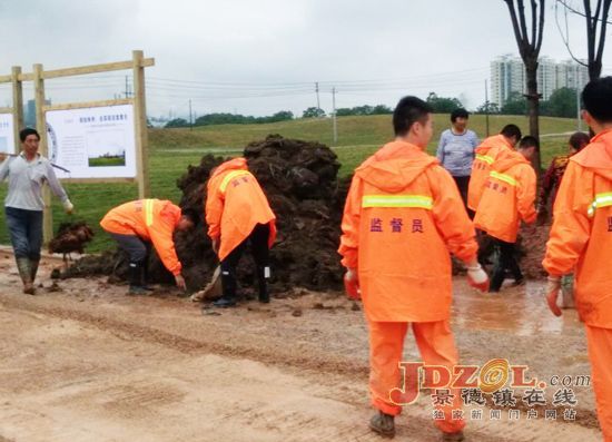 昌江区环卫局暴雨中整治韭菜园绿化片垃圾