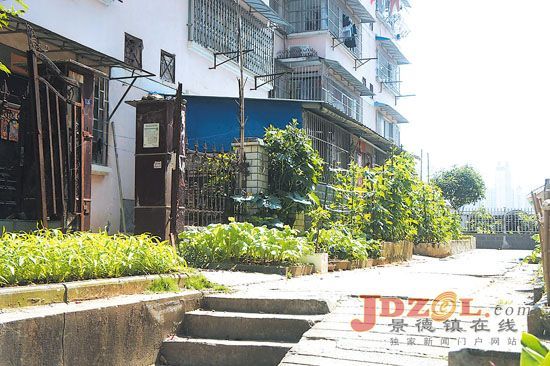 [黑榜]梨树园北苑：脏乱差卫生环境令人愁