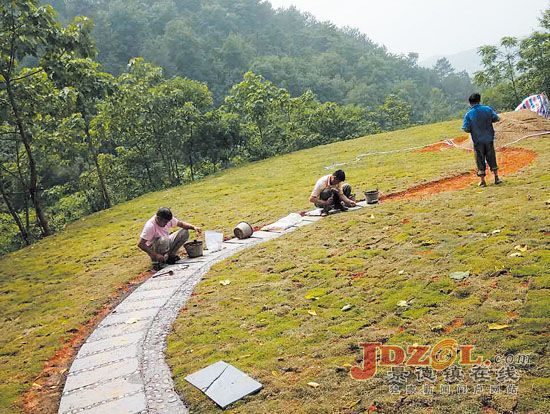 [红榜]景德镇市昌江区荷塘乡环境大整治纪实