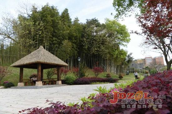 [城乡环境大整治访谈]访珠山区区长罗文军：“三度”绘就新画卷