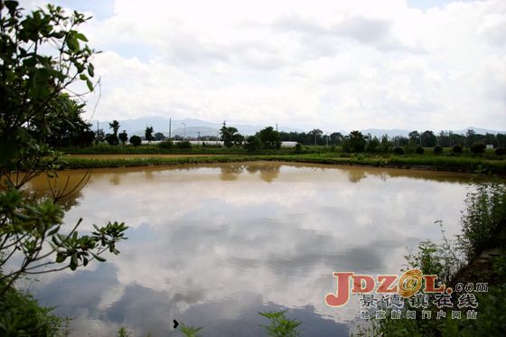 [城乡环境大整治访谈]景德镇市农工部部长胡友林