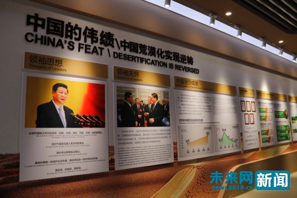 光伏板下搞养殖拼出