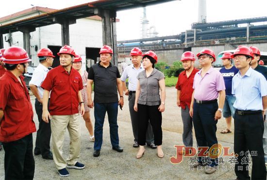 景德镇市人大领导调研环保突出问题整改工作