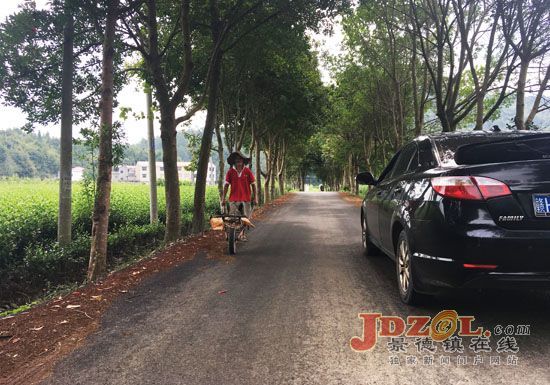 浮梁中洲村：升级“放心”路，架设“便民”桥
