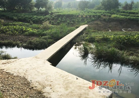 浮梁中洲村：升级“放心”路，架设“便民”桥