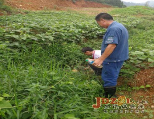 景德镇浮梁县大力推进水环境污染整治工作