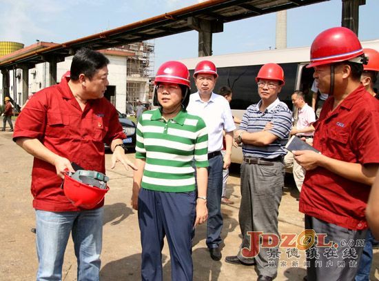 梅亦调研督导景德镇焦化集团环保整改工作