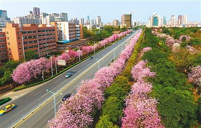 这5年，绿色发展添彩美丽中国