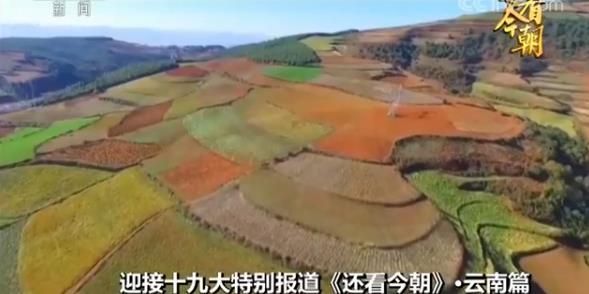 迎接十九大特别报道《还看今朝》·云南篇 数说云南 扶贫攻坚成绩单