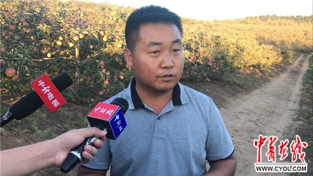 【喜迎十九大·兴边富民行动】果树变身“摇钱树” 小村掀起返乡潮