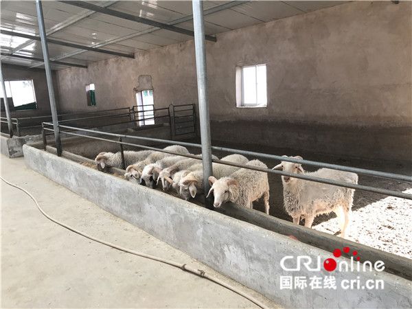 【砥砺奋进的五年·为了总书记的嘱托】中国精准扶贫取得显著成就