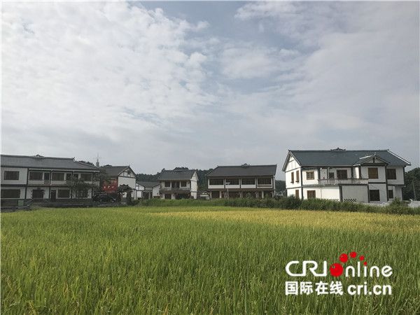 【砥砺奋进的五年·为了总书记的嘱托】中国精准扶贫取得显著成就