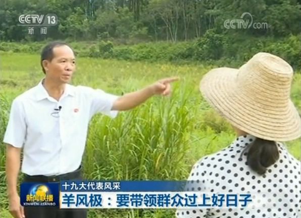 十九大代表风采：羊风极、熊尚兵