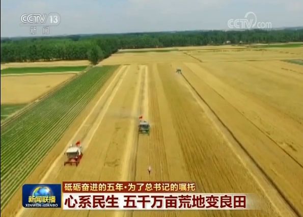 【砥砺奋进的五年·为了总书记的嘱托】心系民生 五千万亩荒地变良田