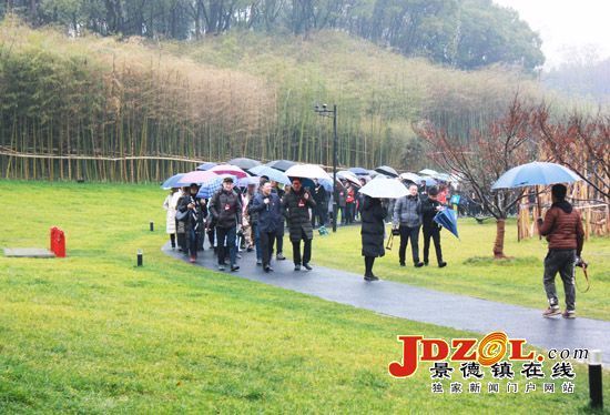 景德镇市“两会”代表委员喜看城市新变化