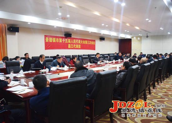 景德镇市人大代表分组审议《政府工作报告》