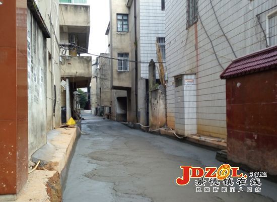 [双创双修]枫林路：旧路换新貌居民笑开颜