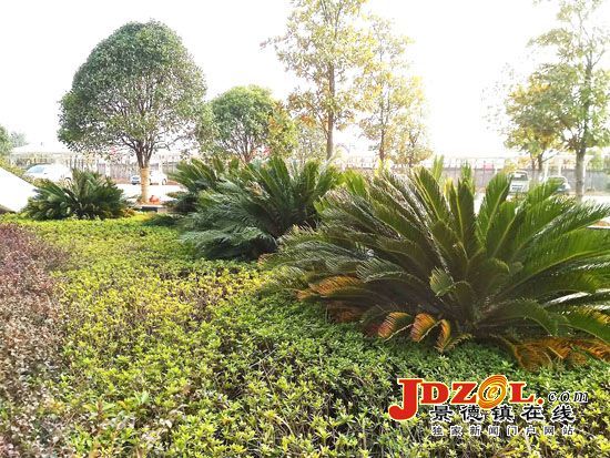 乐平工业园区着力打造绿色园区