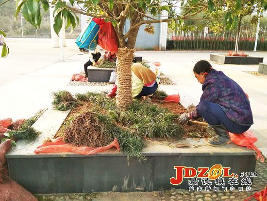 乐平工业园区着力打造绿色园区