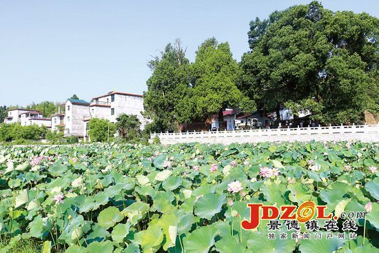 写在昌江区入选全省第三批生态文明示范县（市、区）之时