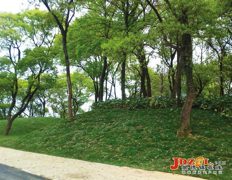 [双创双修]瓷都大道环境改造提升现场见闻