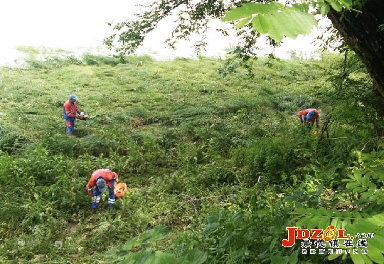 [双创双修]昌江区：环卫工人清理河岸垃圾