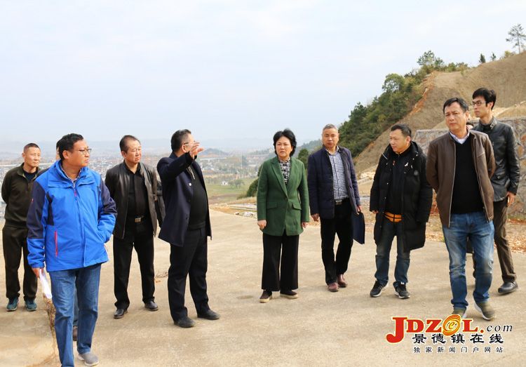市领导调研“双创双修”山体修复重点项目