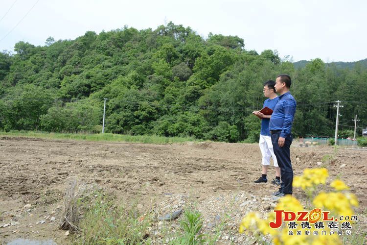 何志勇：以茶为媒领民富 -