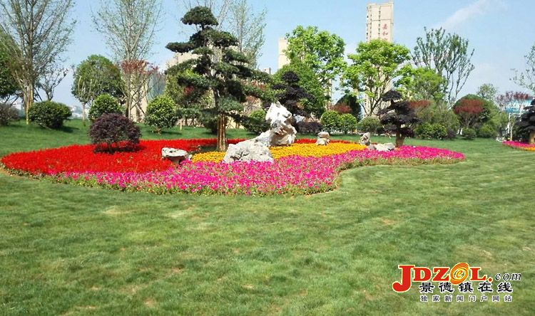 市园林管理局新建一批街头绿地