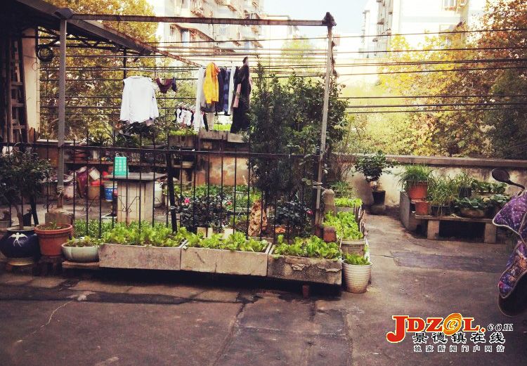 [双创双修曝光台]奥林社区：曝光不文明行为