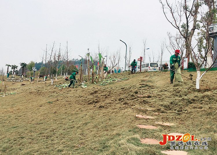 [双创双修]园林工人精心呵护昌南湖湿地公园