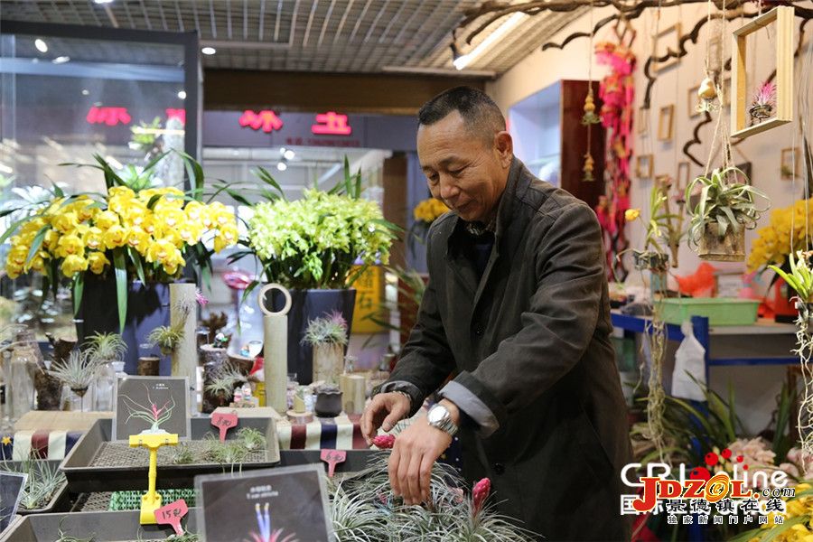 【新春走基层】斗南花市三十年蝶变——从西南边陲小村庄到亚洲最大花卉交易市场