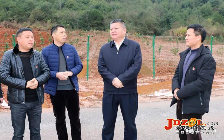市领导到乐平市部分乡镇调研脱贫攻坚工作
