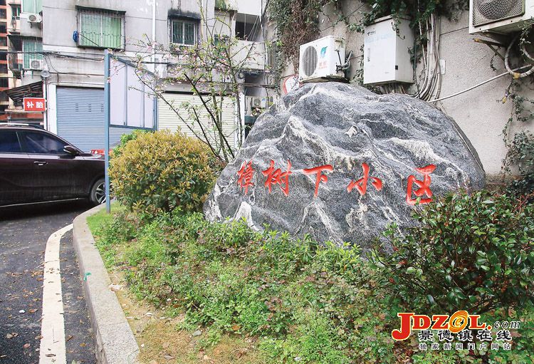 [双创双修]新厂街道樟树下小区现场见闻
